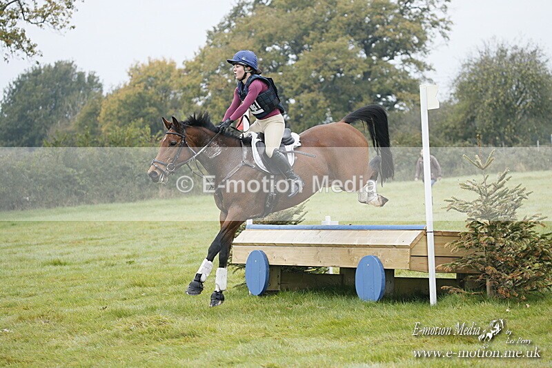 WWHT 181020 WWHT 181020 247 - WWEC Novice Restricted (0.80m) 18/10/20