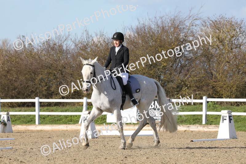 20260314-5117 - CT6 - Elementary 1