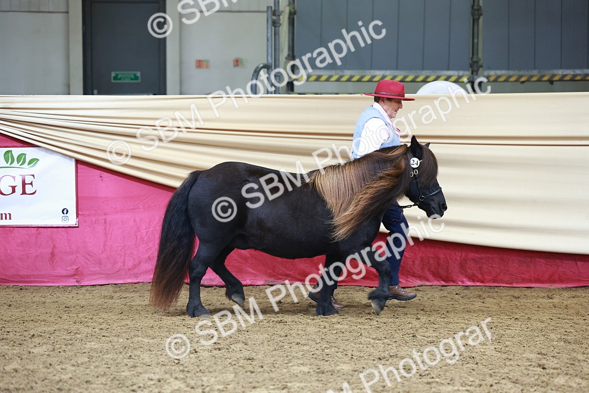 SBM_22260 - Class 902 - Supreme Final - IH Diamond