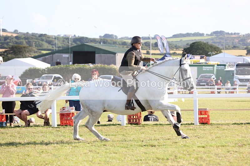 JPP_3355 - Class 22: Working Hunter 90cm