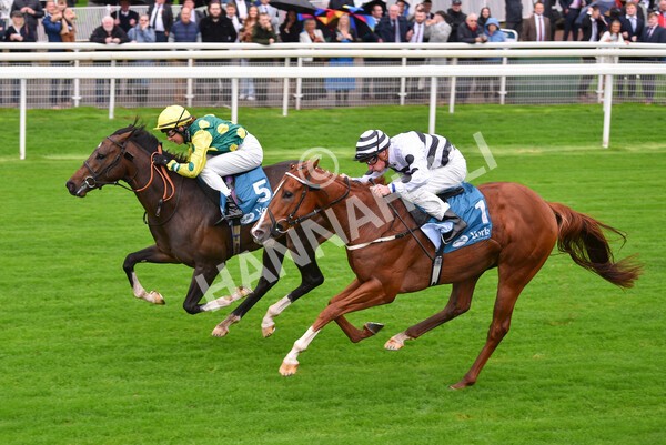 yr07102022r1-20 - Race 1 2.05pm Parsonage Hotel and Cloisters Spa Stakes