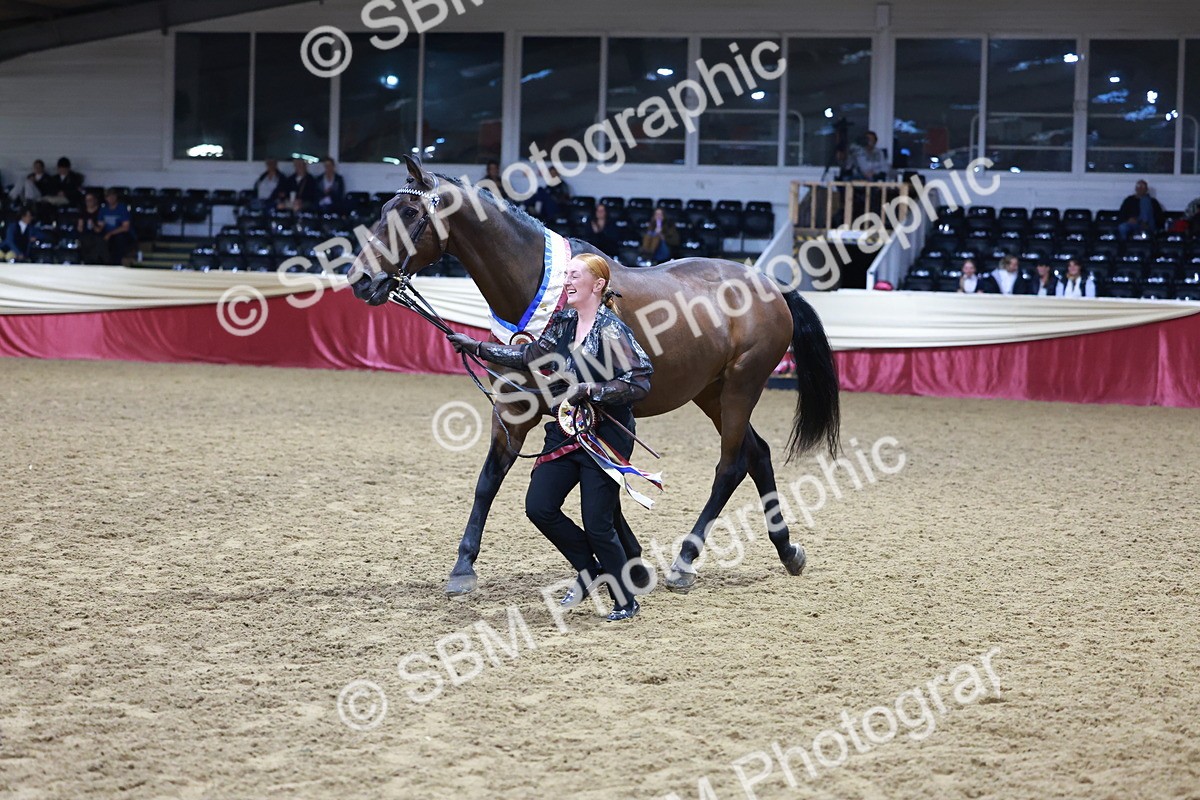 SBM_20653 - Class I - Ridden Pony Champ