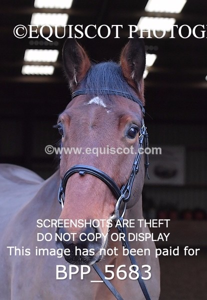 BPP_5683 - Imogen Gray