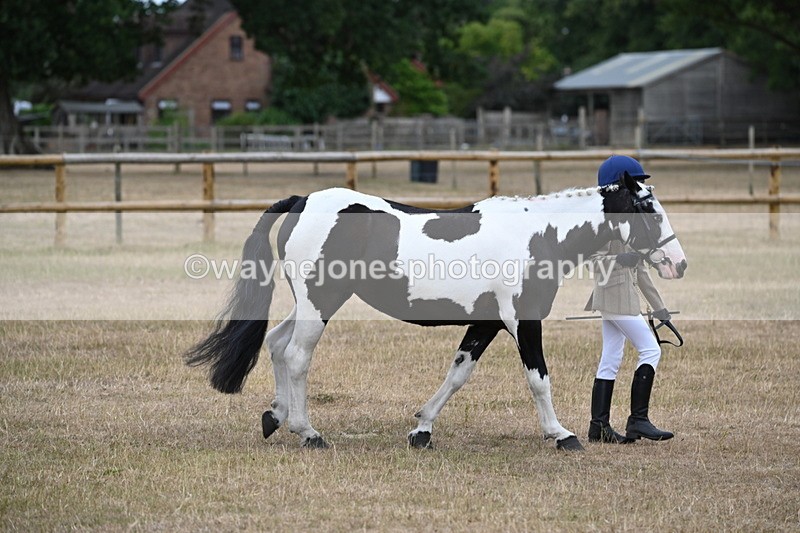 WJ6_7882 - Class 10 Coloured in Hand