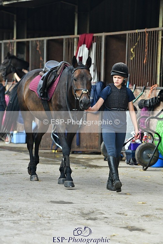 230817-083846-02438 - Stable Shots