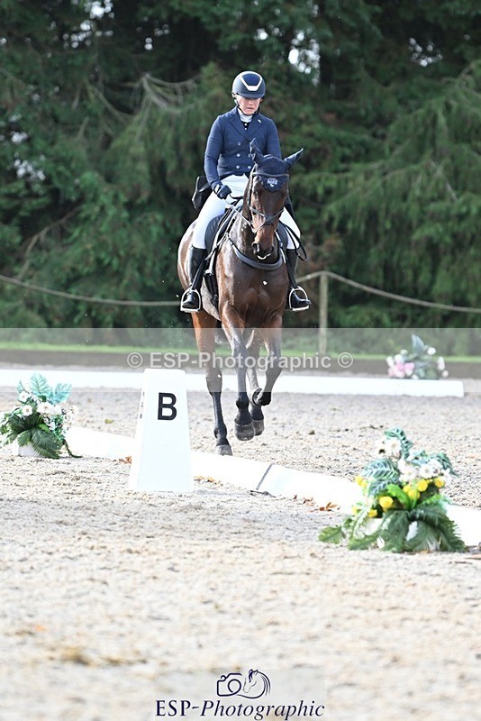 231019-100510-01332 - 030-MONBEG.SHELBY-Kat.Raybould-DR