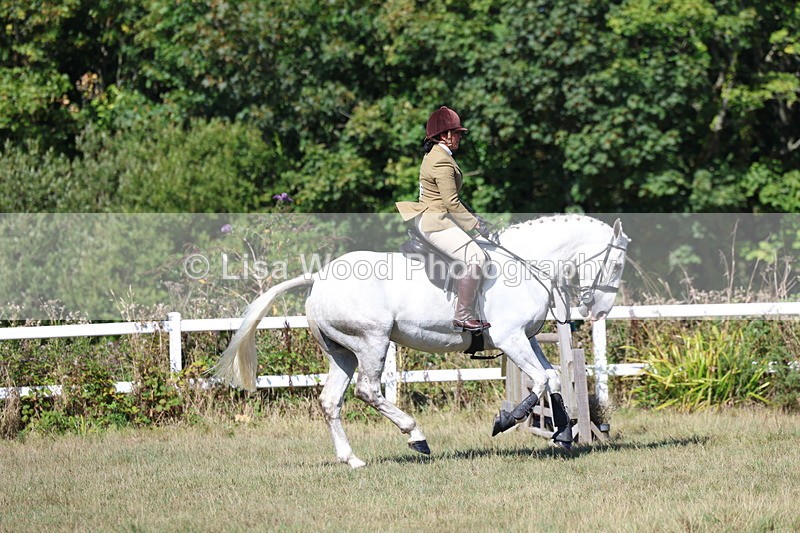 3E7A6234 - Class 6: Working Hunter 1m