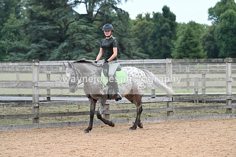 WJ7_9293 - Poles 14:00