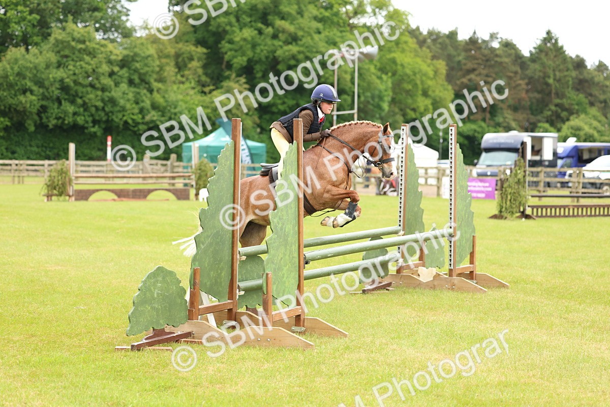 SBM_10271 - Class 44-45 - LIHS BSPS Open Nursery and Cradle Stakes