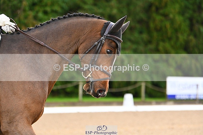 231021-093200-12554 - 225-DHI.ROCKETMAN-Emily.King-DR