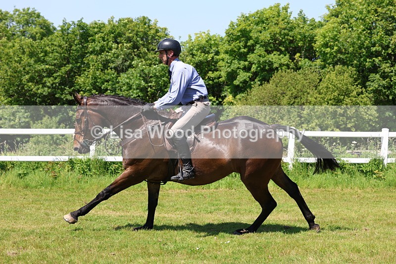 3E7A7319 - Class 30: Novice Working Hunter