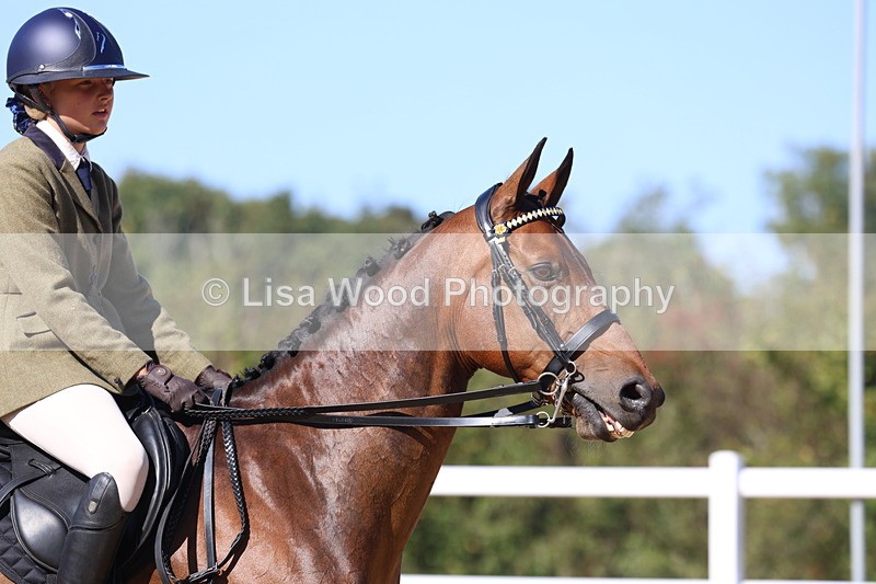 3E7A5756 - Class 10: Riding Horse