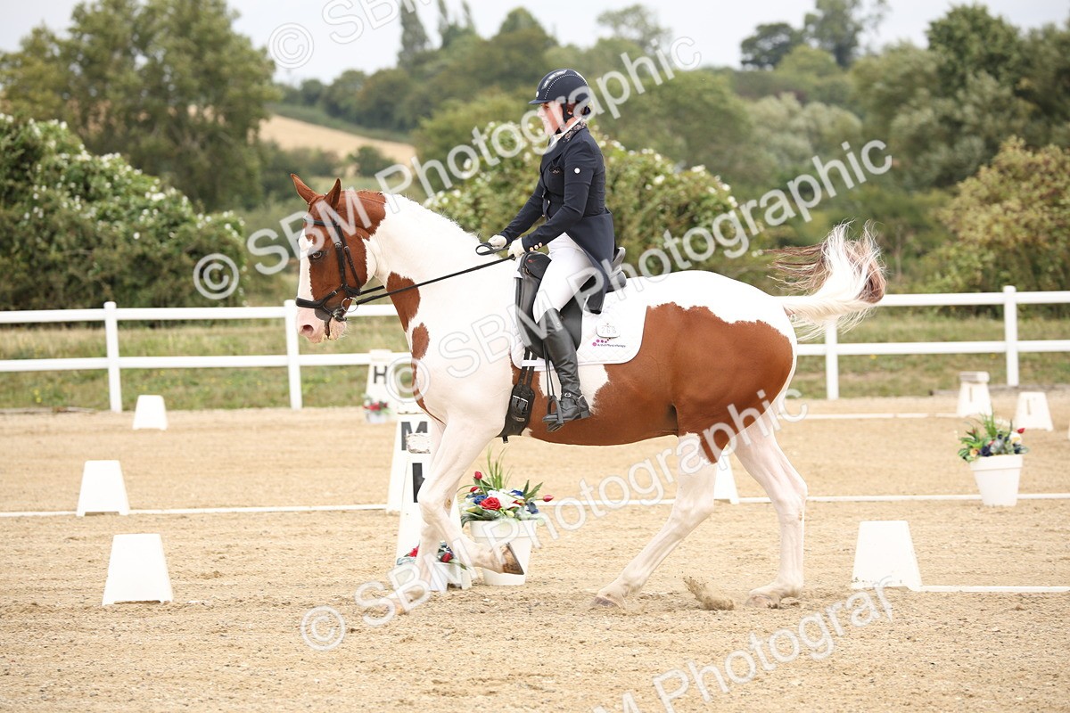 SBM_020048 - Class 25 - PSG Bronze