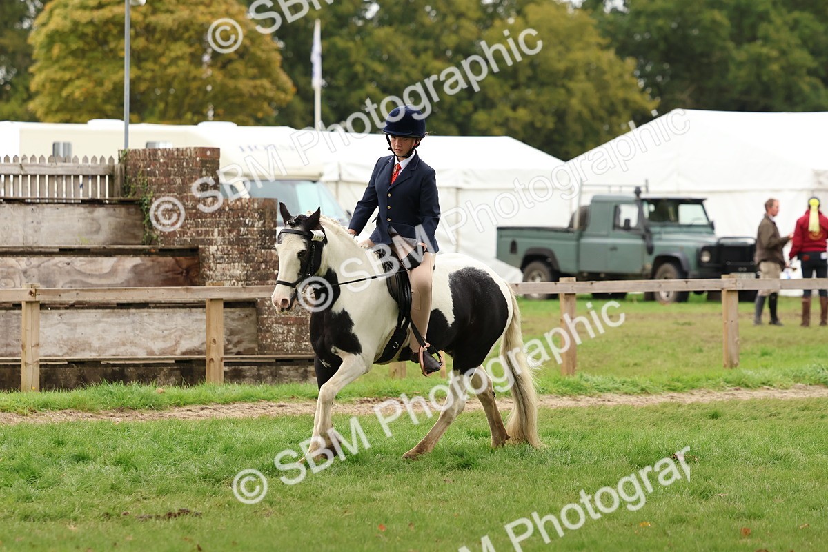 SBM_59952 - S36 - Rehabiliated Rescue Horse & Pony In Hand & Ridden