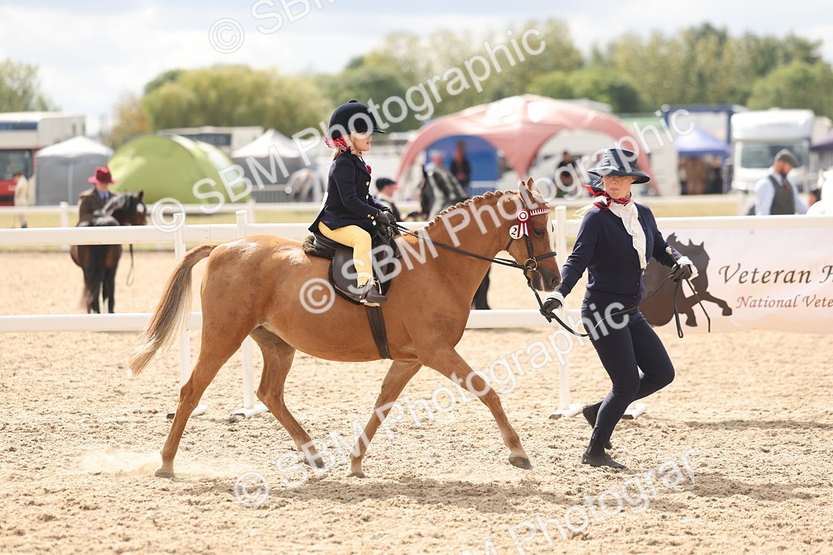 SBM_15779 - Class 309 - Lead Rein Pony