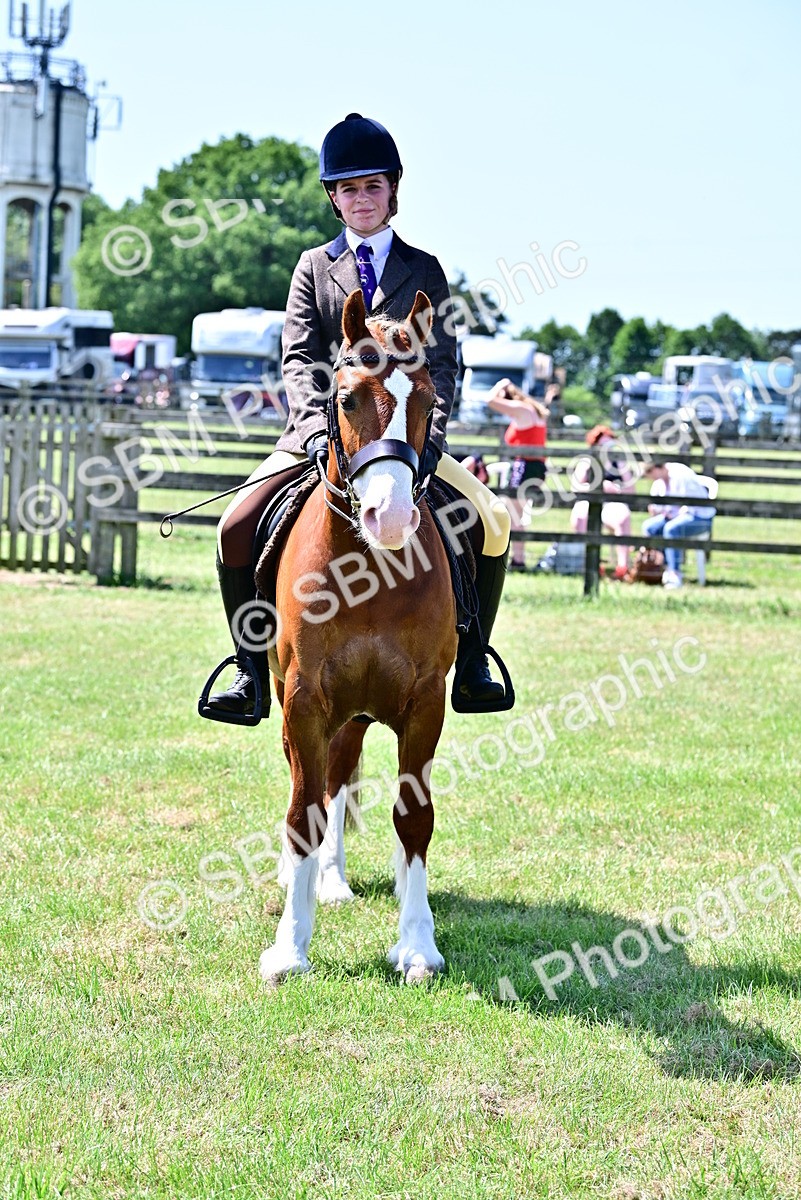 SBM_15312 - Class 95-97 - BSPS LHS Performance Ponies