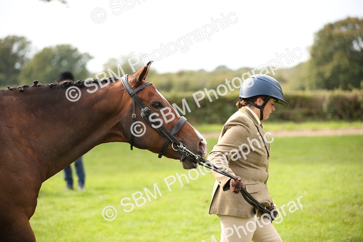 SBM_70429 - S66 - Hunter Ridden