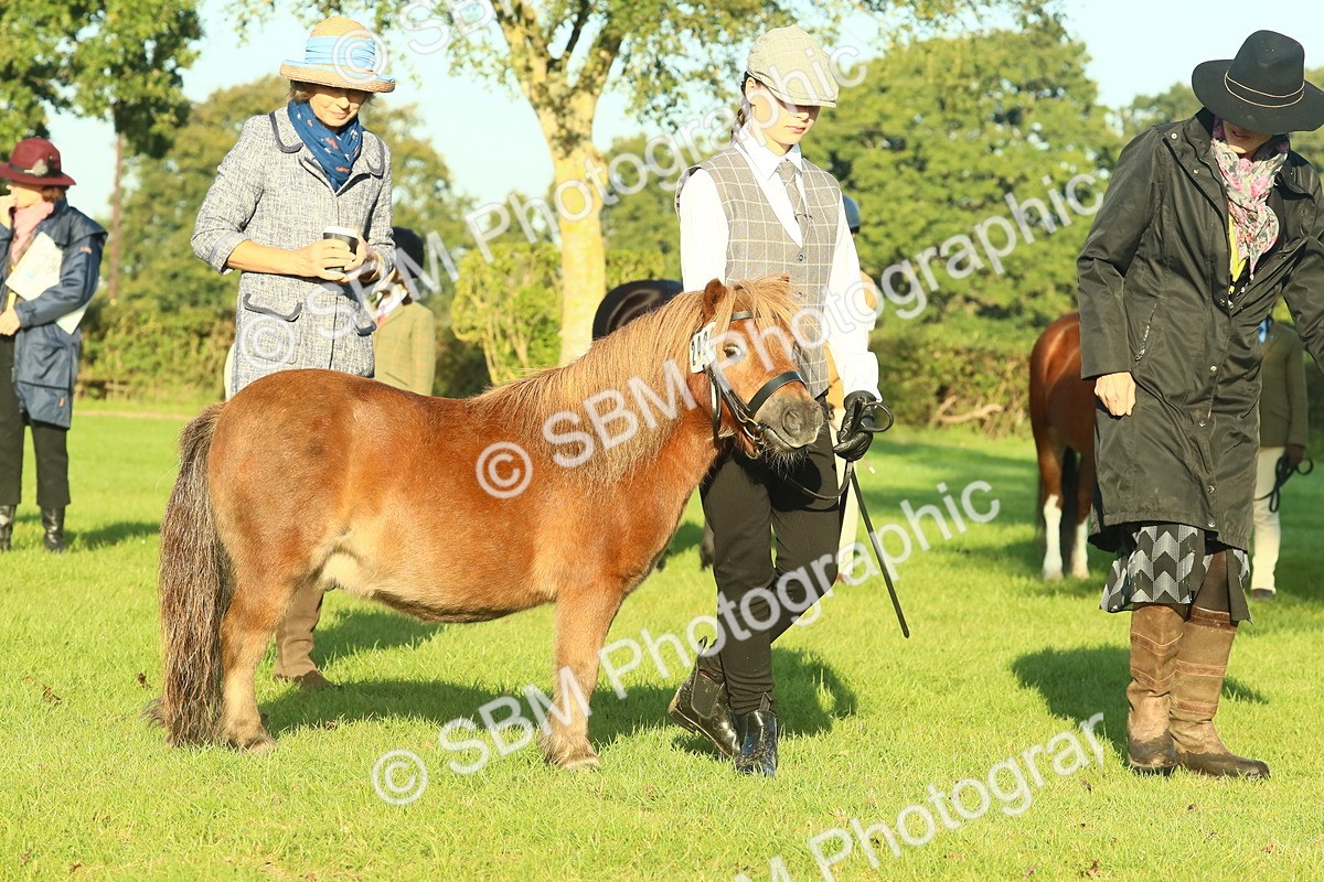 SBM_57423 - S37 - Starters In Hand Showing