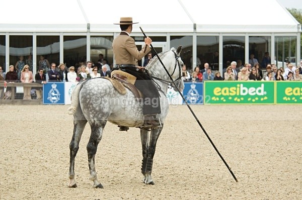  - Windsor Horse Show