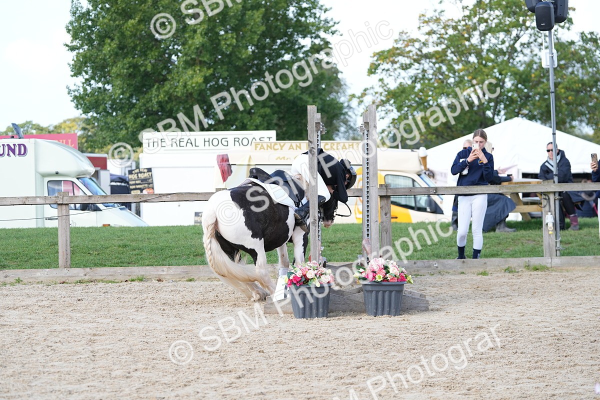SBM_16821 - J58 - Clear Round 50cm