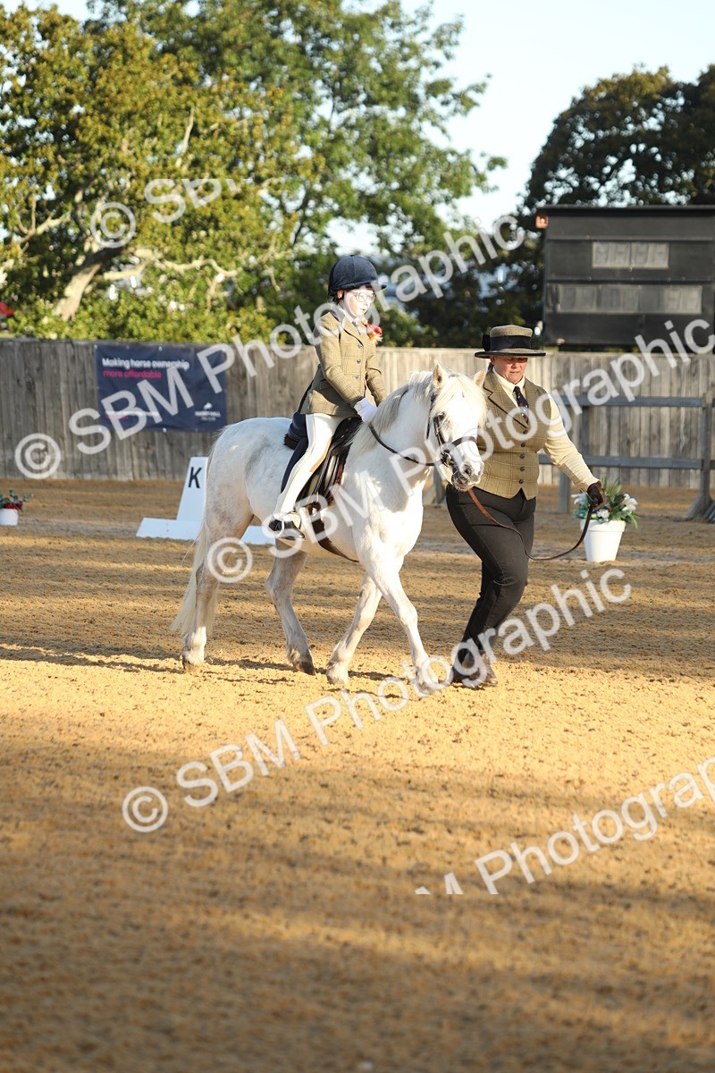 SBM_33584 - D26 - Starers - Lead Rein