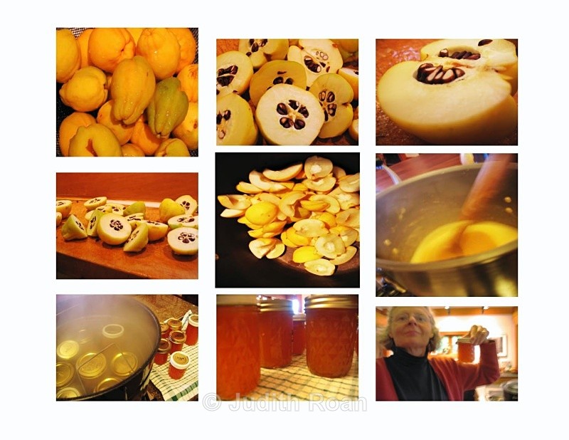 Quince Montage  - Quince Jelly