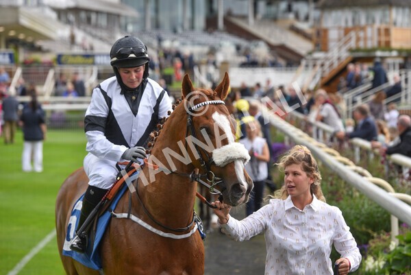 yr24092021r1-60 - Race 1 1.10pm Ernest Cooper Macmillan Ride of Their Lives