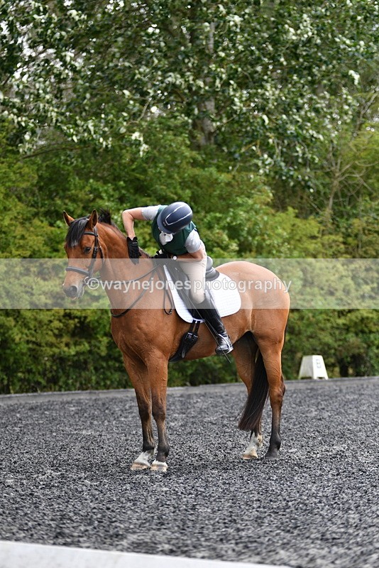 WJ5_0719 - Time 13:04 to 13:42