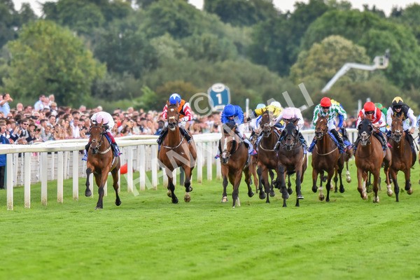 260823-Race 4-Absurde-0896 - Race 4 Sky Bet Ebor Handicap