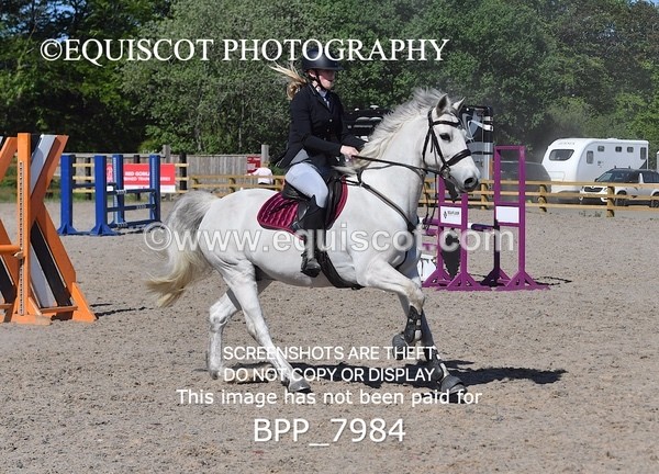 BPP_7984 - CLASS 2 Club/ Unaffiliated 80cms Open