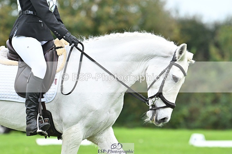 241024-120502-02606 - 322-Hannah.Cook-CLYARD.BOB.D