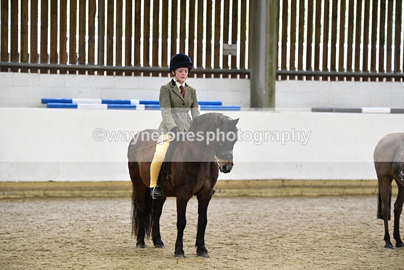 WJ5_7054 - Class 10 Childs Pony