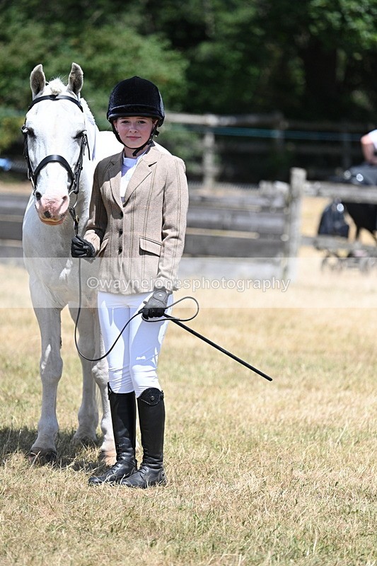 WJ7_2271 - Class 5 Most Handsome Gelding (up to 14.2hh) in hand