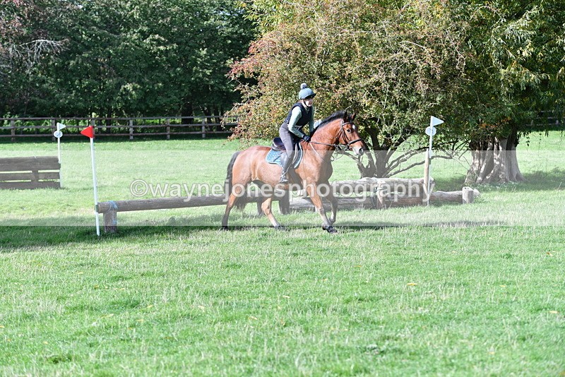 WJ5_8184 - Time 10:31 to 12:01