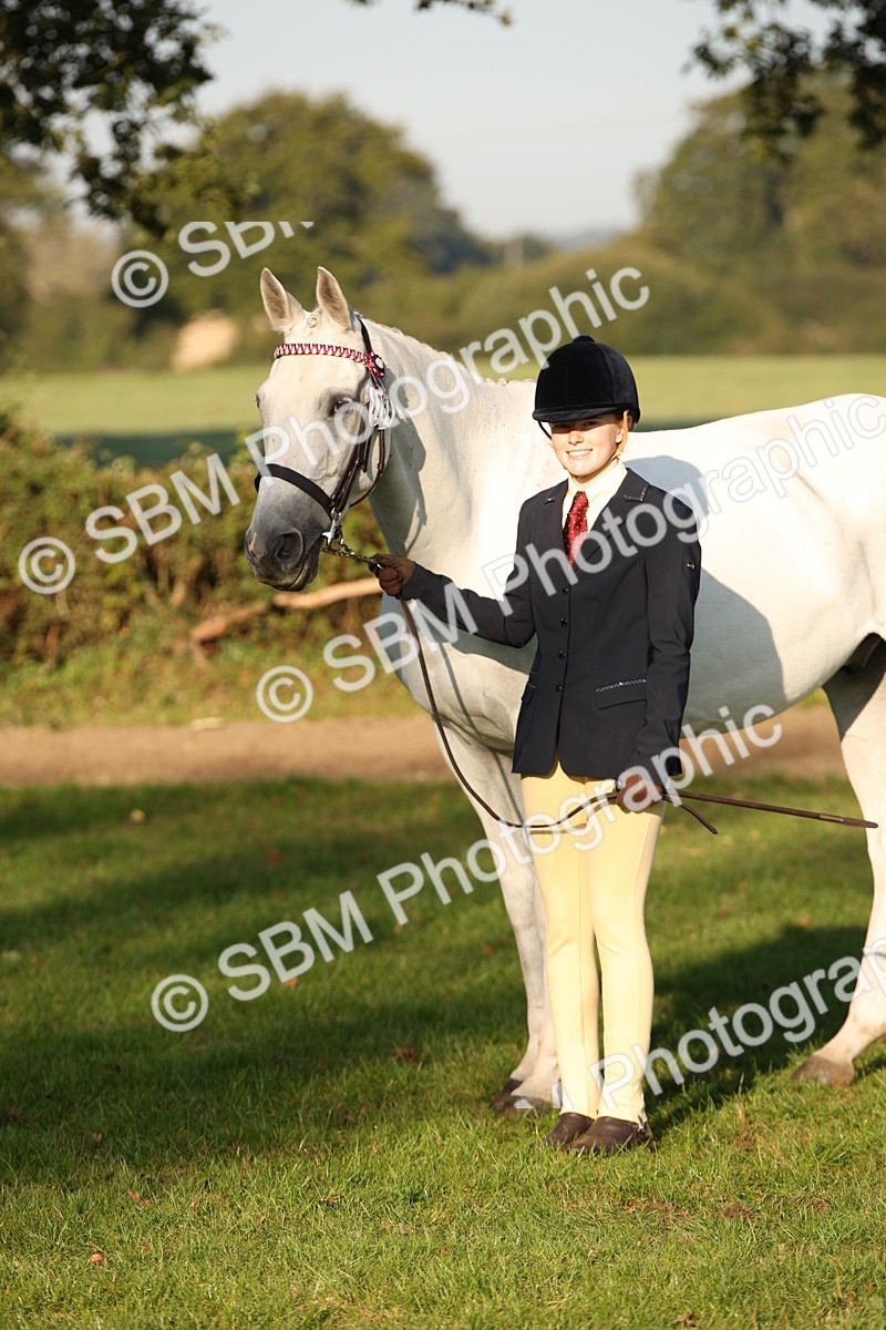 SBM_57585 - S50 - Foreign Breeds In Hand