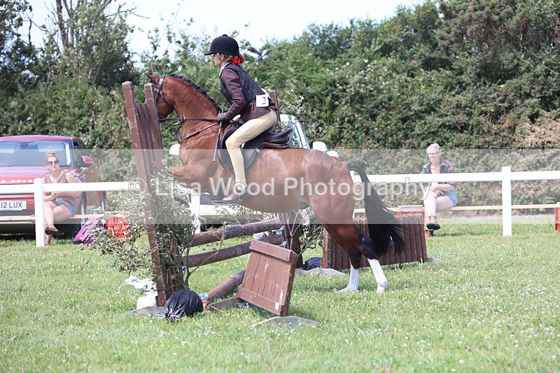 JPP_2644 - Class 21: Working Hunter 60cm