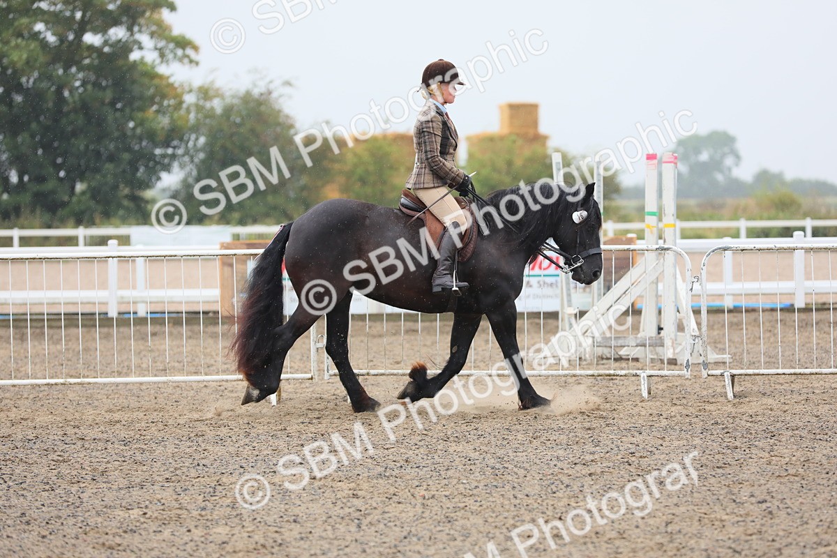 SBM_20273 - Class 803 - Ridden Combination 65+