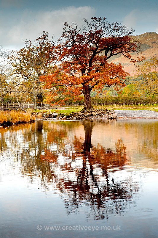 No.0006. Buttermere. - Landscape