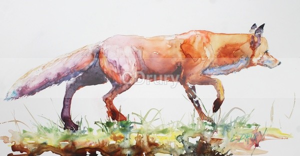 WCW10192 ' Hunting for Lunch' - Watercolor Wildlife