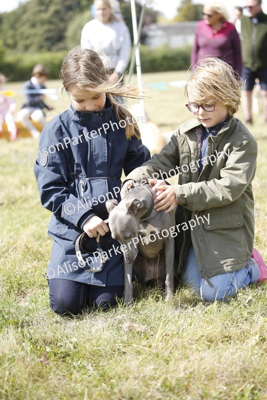 20250831-3679 - Dog Show