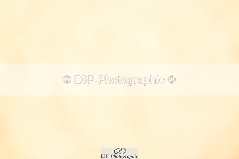 240323A-142448-02184 - UnA Prelim 14