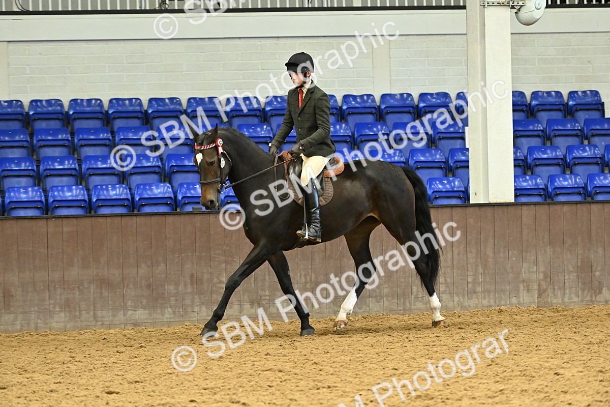 SBM_002069 - Class 23 - BSHA Ridden Show Hunter