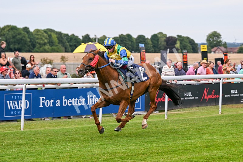030726-Race 1-Sisterandbrother-0162 - Race 1 18.00pm Your Weekend Starts Here Apprentice Handicap