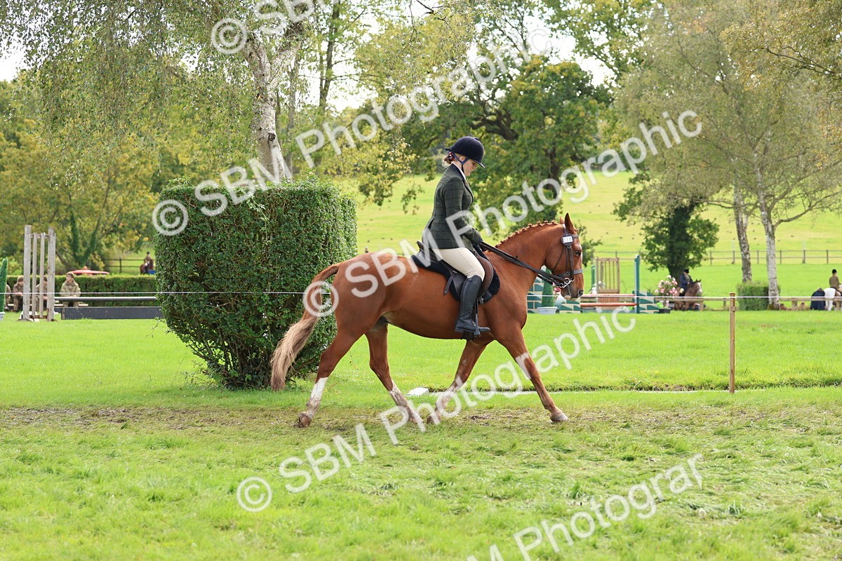 SBM_45167 - S27 - Young Veteran Ridden