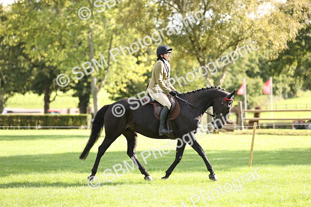 SBM_26353 - S6 - Novice & Newcomers Ridden Horse