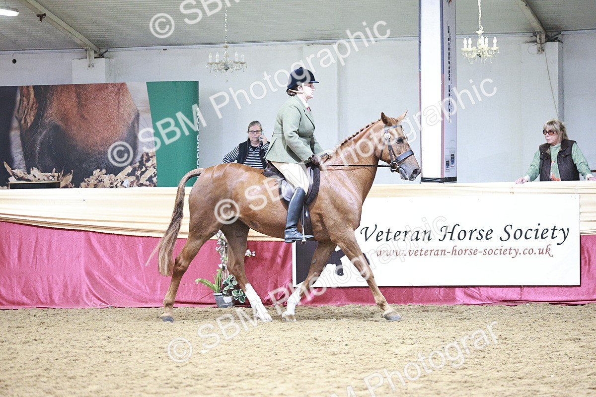 SBM_03400 - Class 6A Area Ridden Pre-Vet