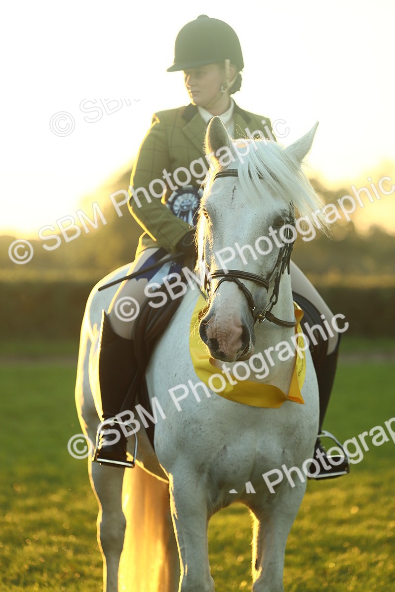 SBM_56704 - Fun & Versatile Supreme Championship