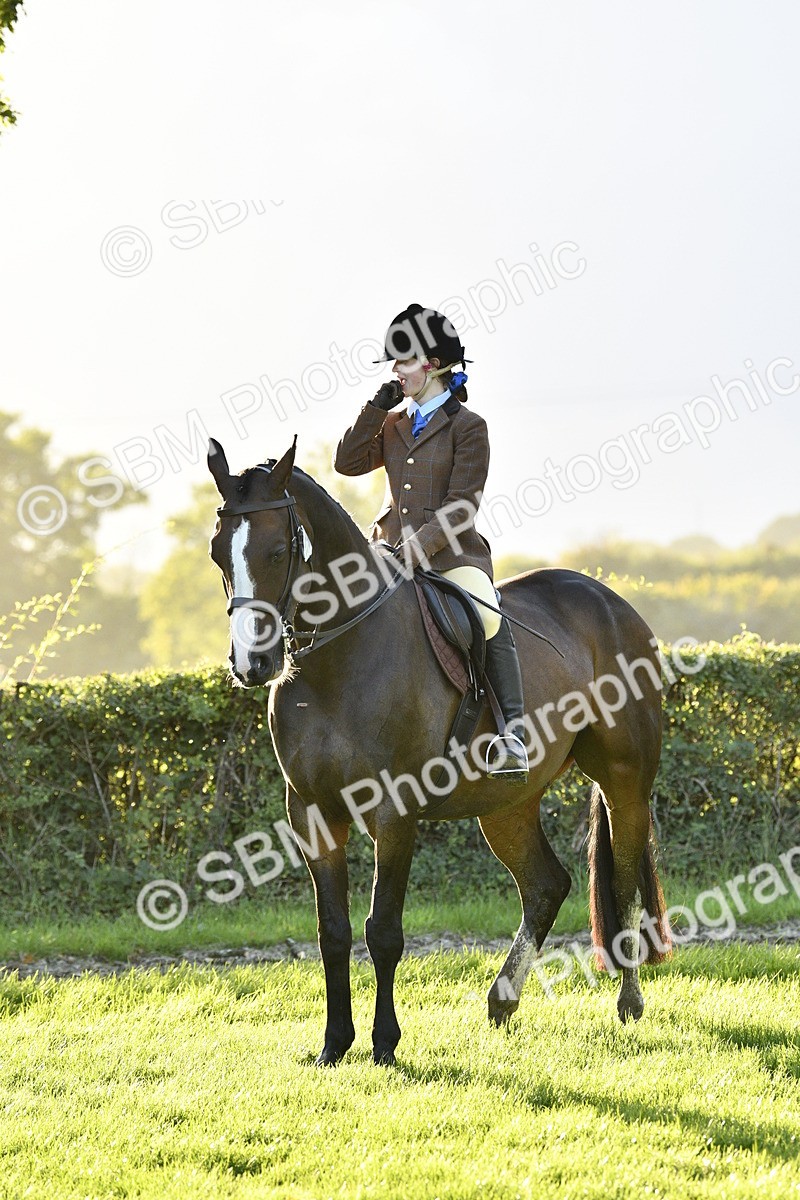 SBM_53587 - S14 - Riding Club Horse
