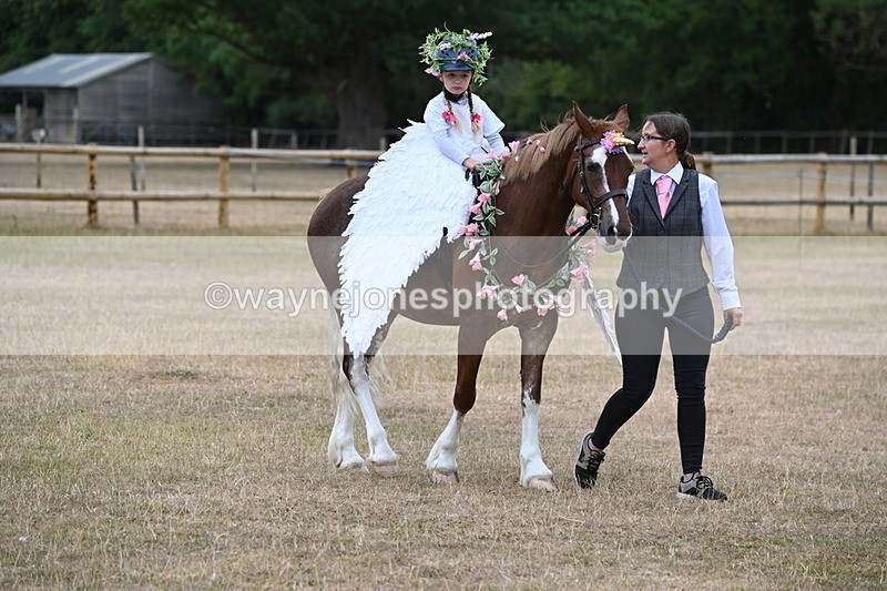 WJ6_8591 - Class 11 Fancy Dress