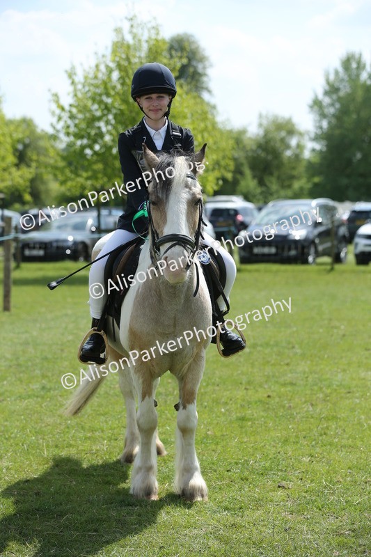 20250427-3454 - Class 8 - Handsomest Gelding
